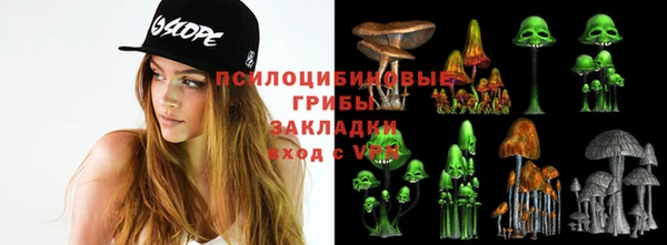 каннабис Аркадак