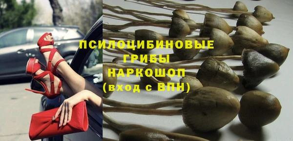 трава Армянск
