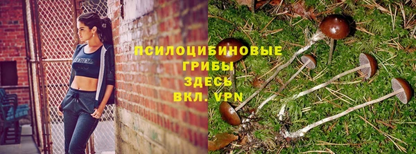 марихуана Арсеньев