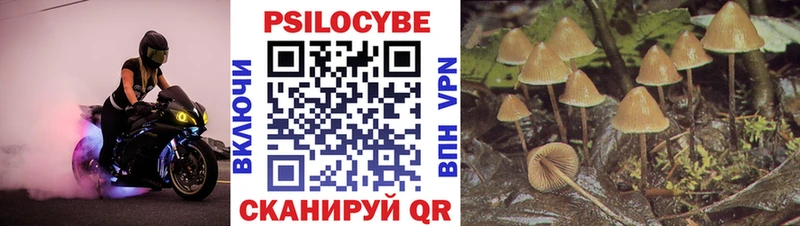 Купить где  Навашино  Галлюциногенные грибы Magic Shrooms 